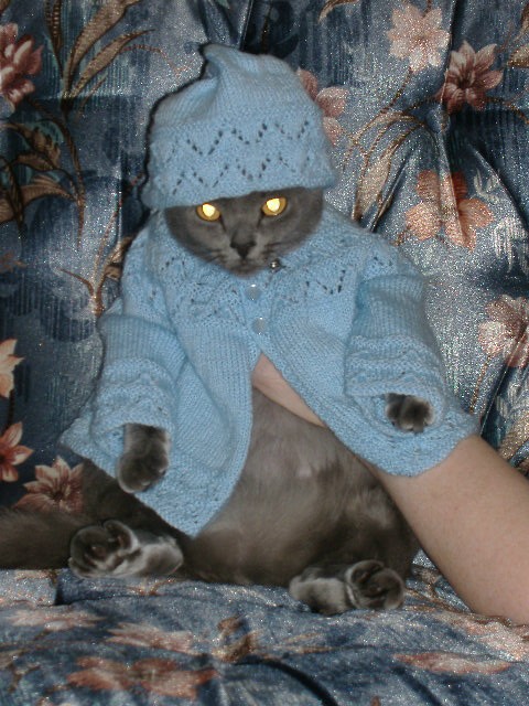 Main Gallery Display