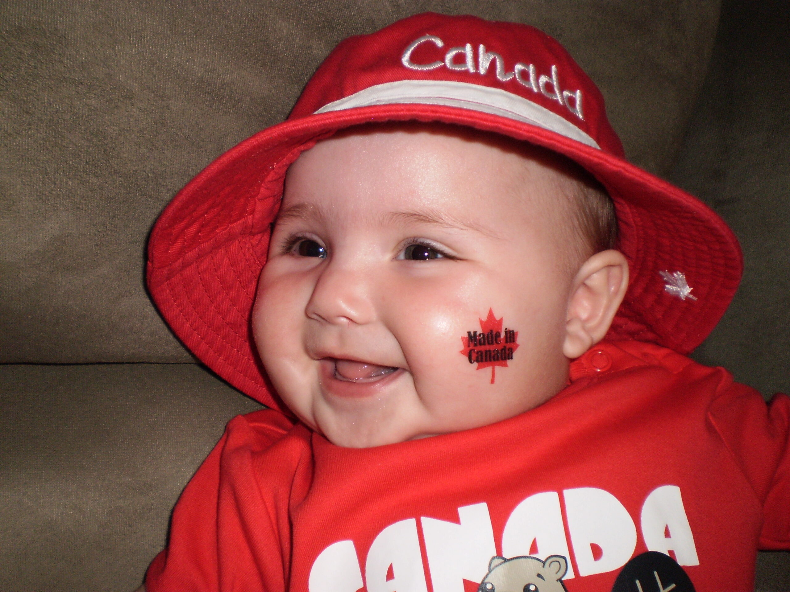 Main Gallery Display