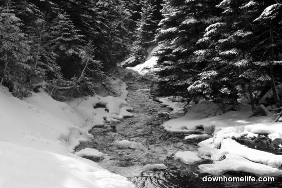Main Gallery Display