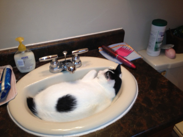 Main Gallery Display