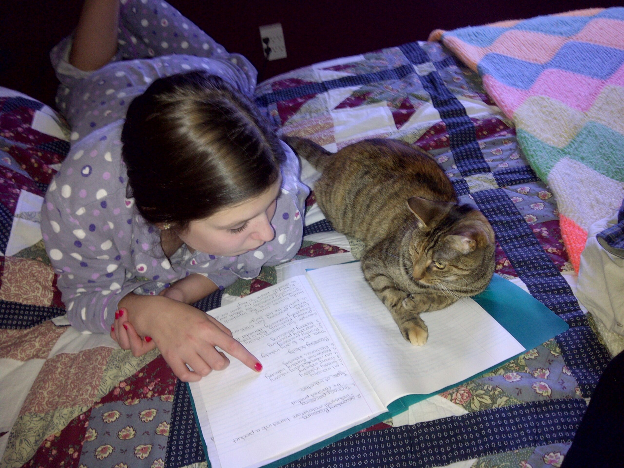 Main Gallery Display