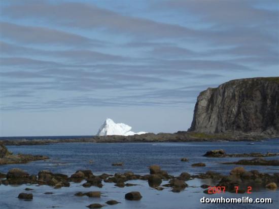 Main Gallery Display