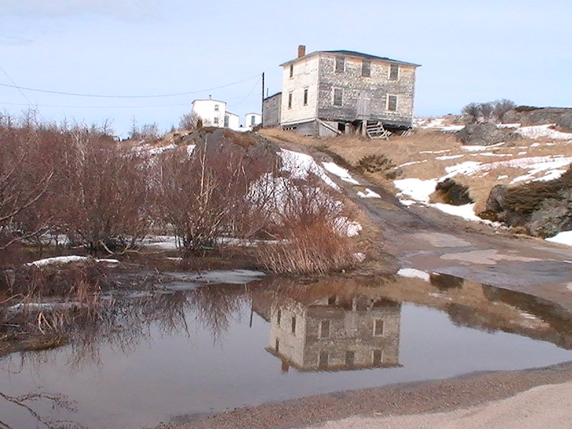 Main Gallery Display