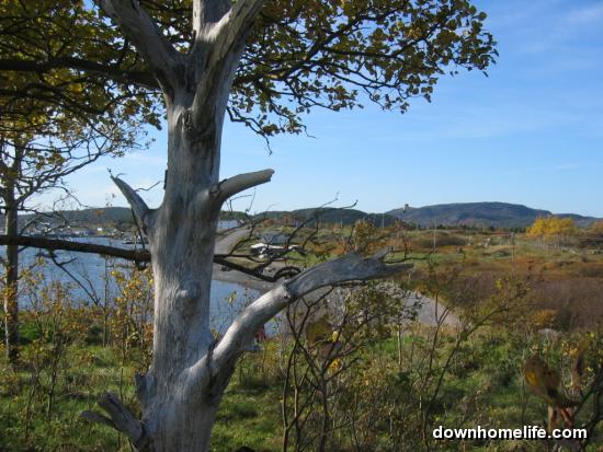Main Gallery Display