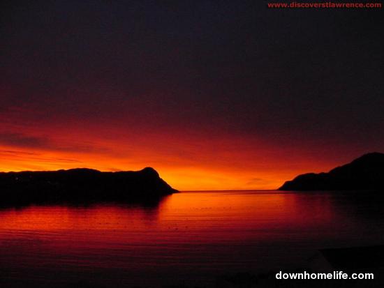 Main Gallery Display