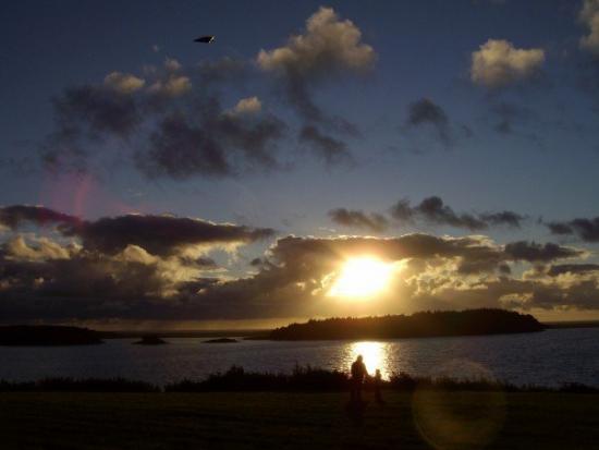 Main Gallery Display