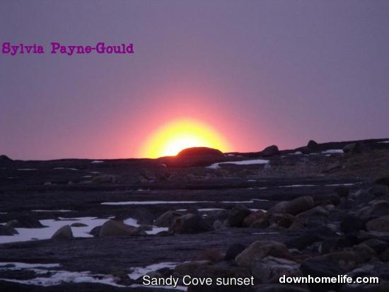 Main Gallery Display