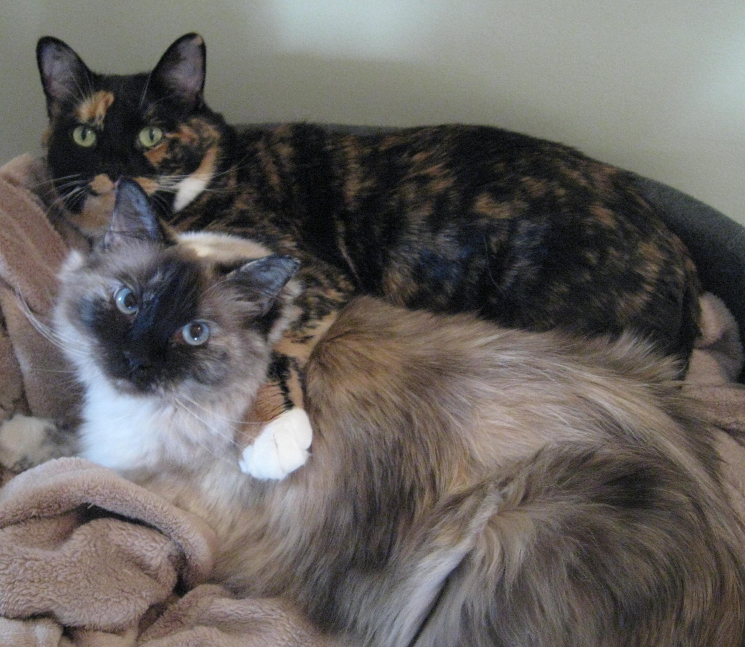 Main Gallery Display