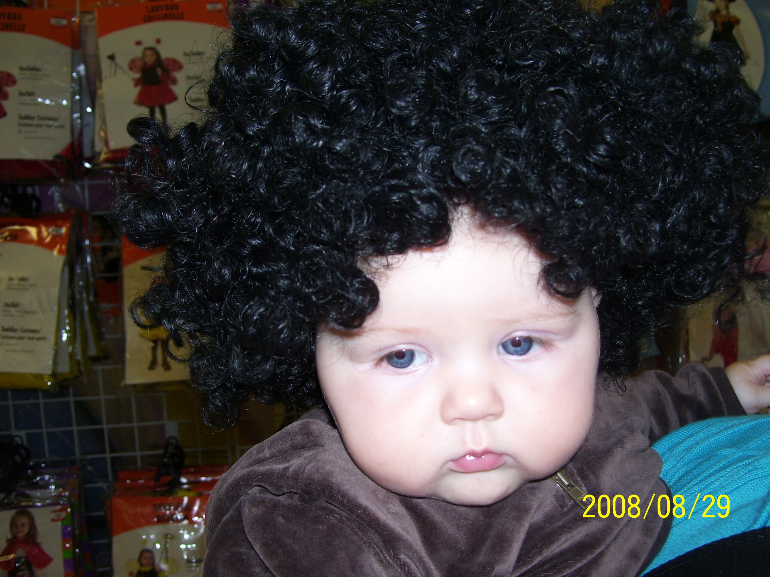 Main Gallery Display