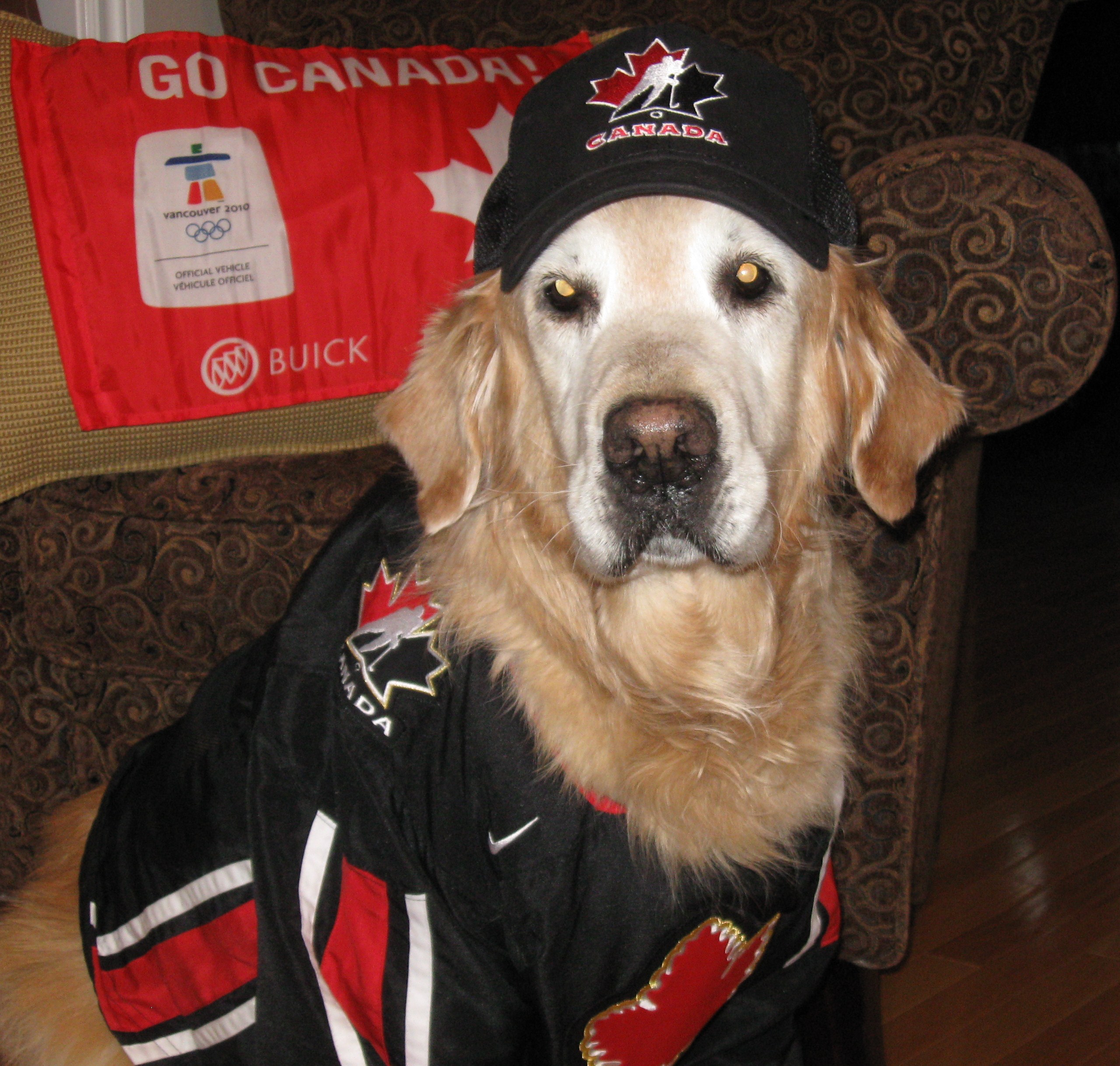 Main Gallery Display