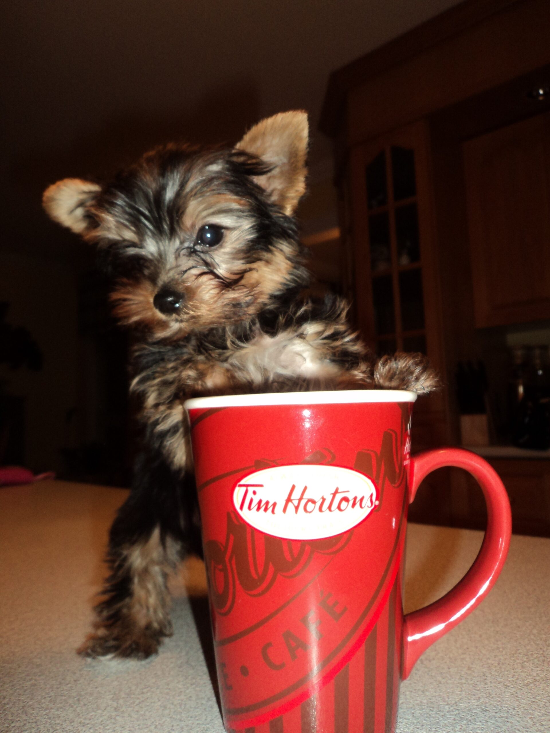 Main Gallery Display