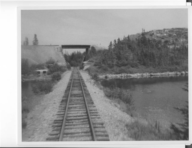Main Gallery Display