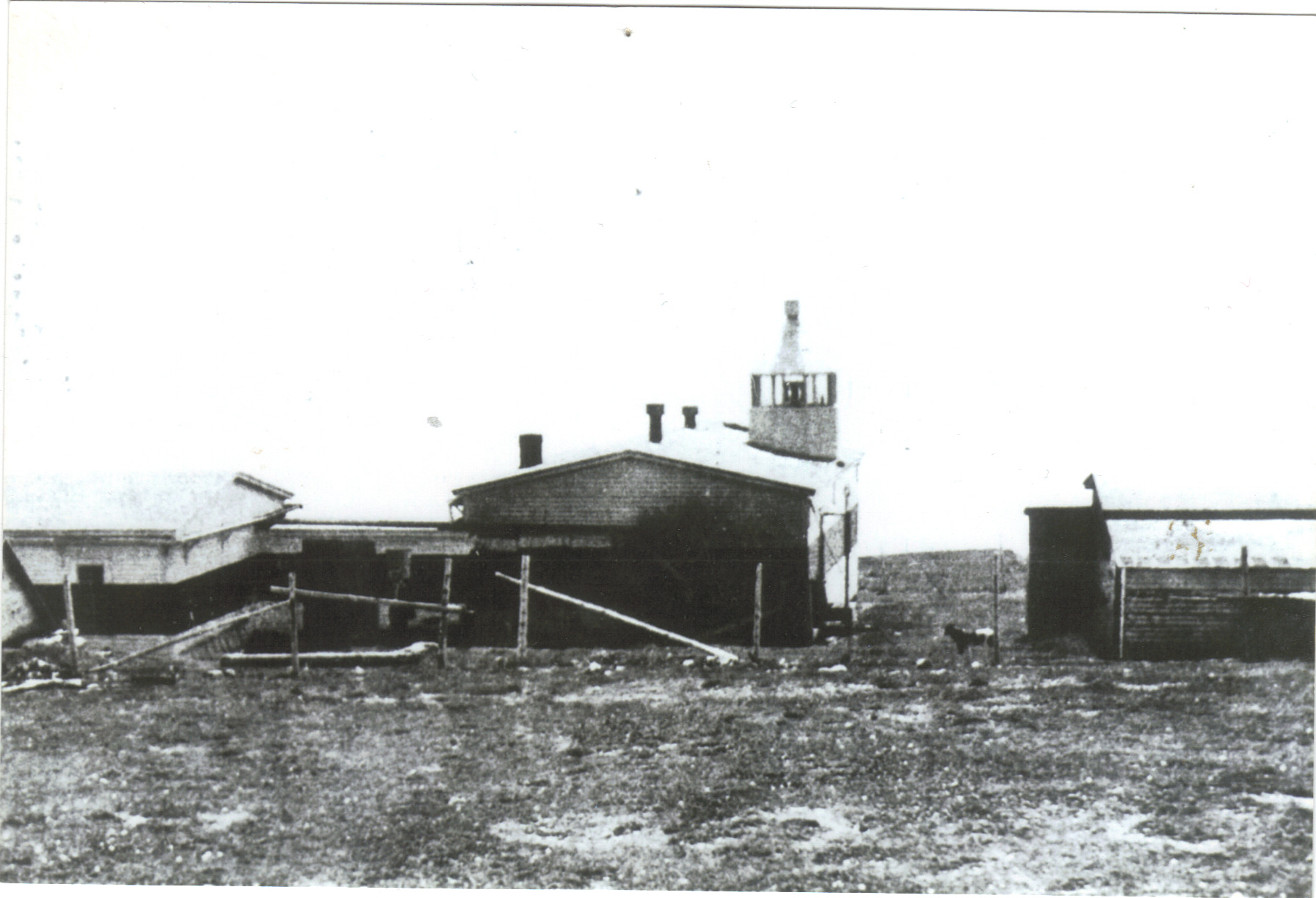 Main Gallery Display