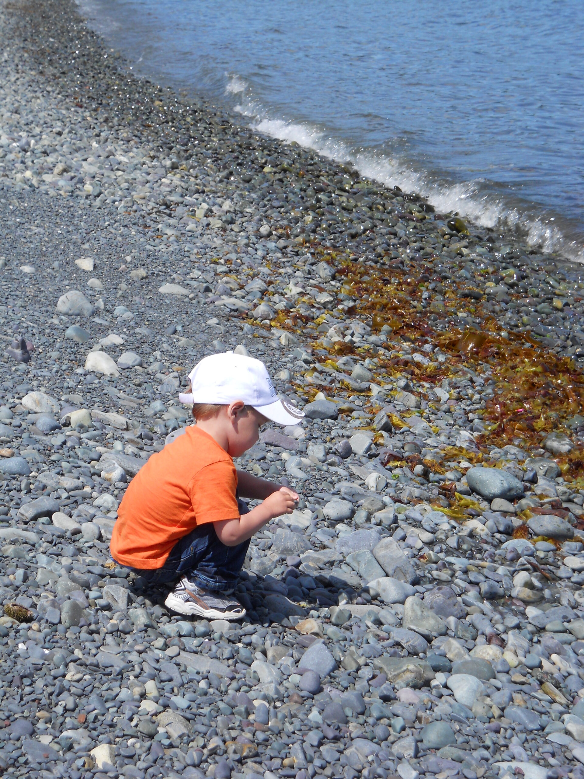 Main Gallery Display