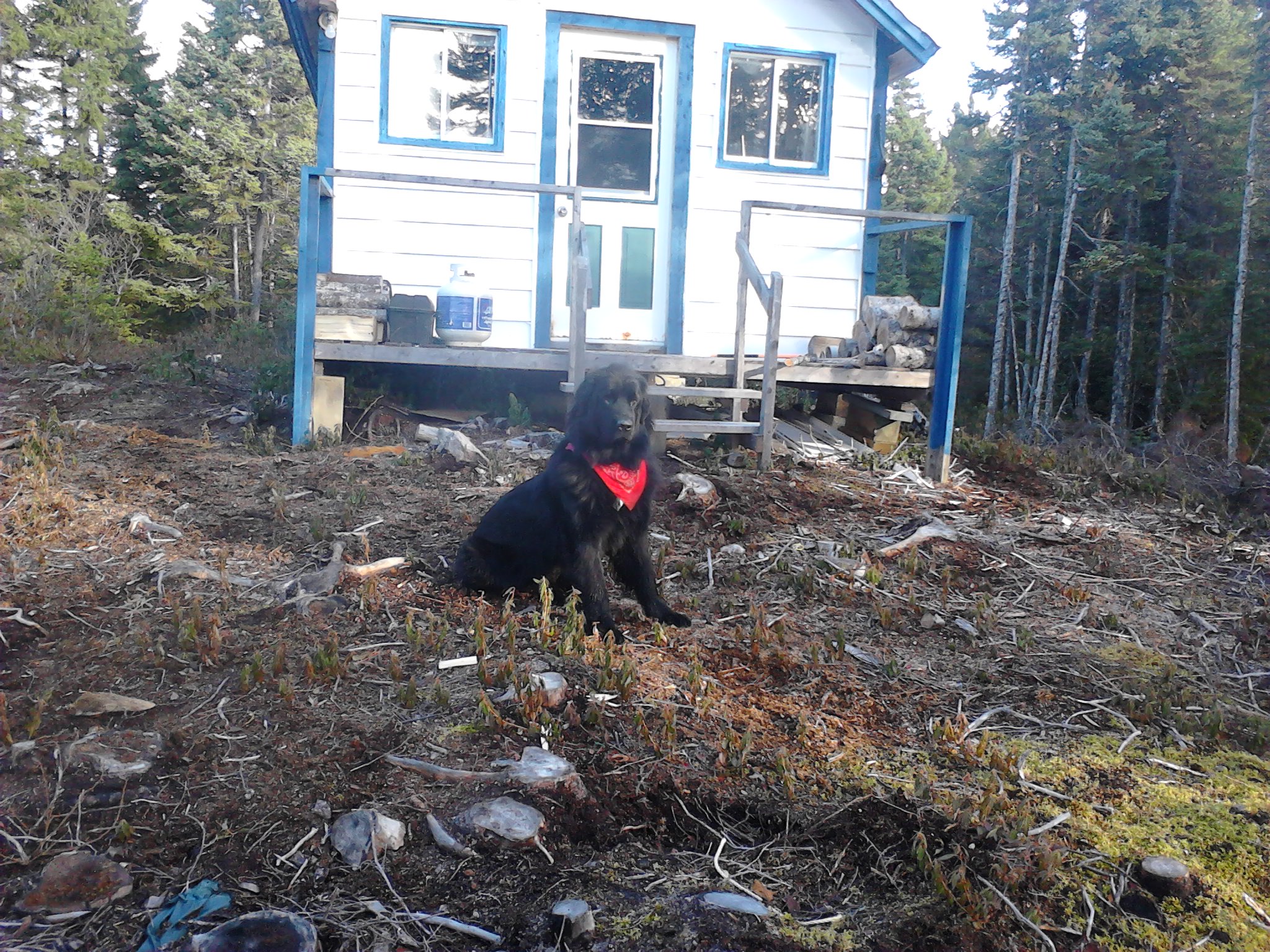 Main Gallery Display