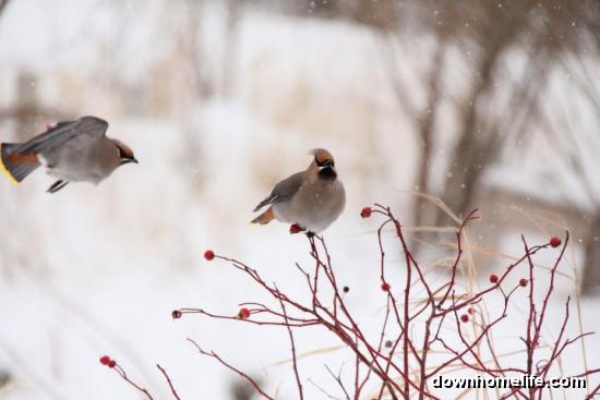 Main Gallery Display