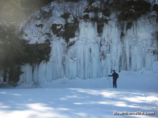 Main Gallery Display