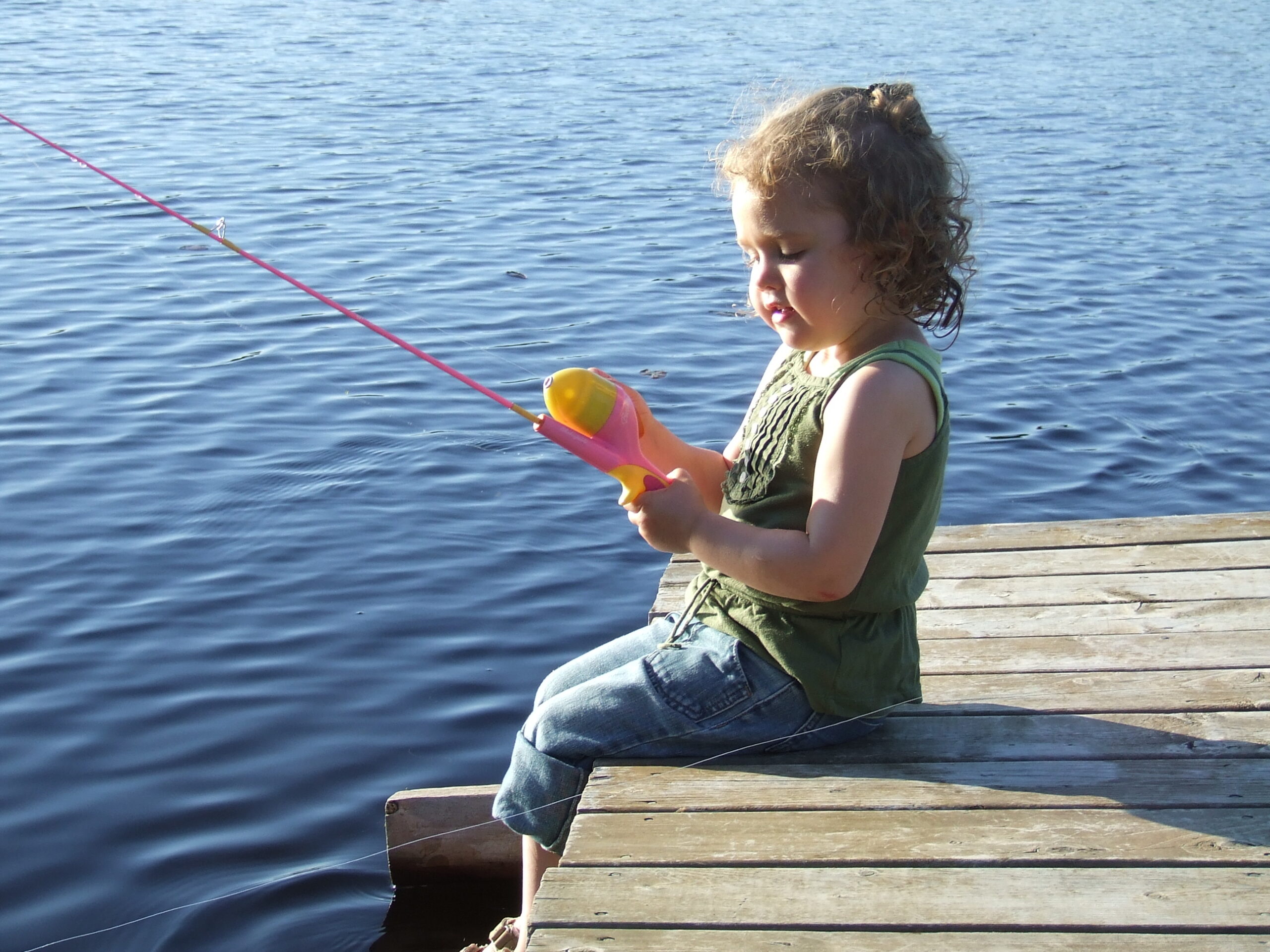 Main Gallery Display