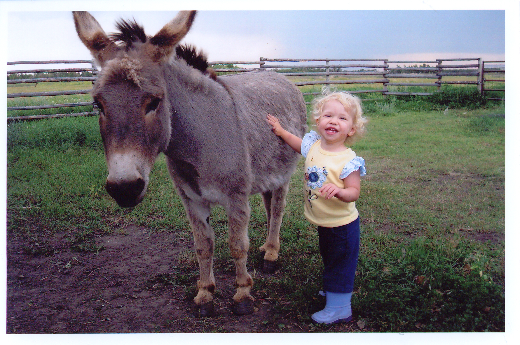 Main Gallery Display