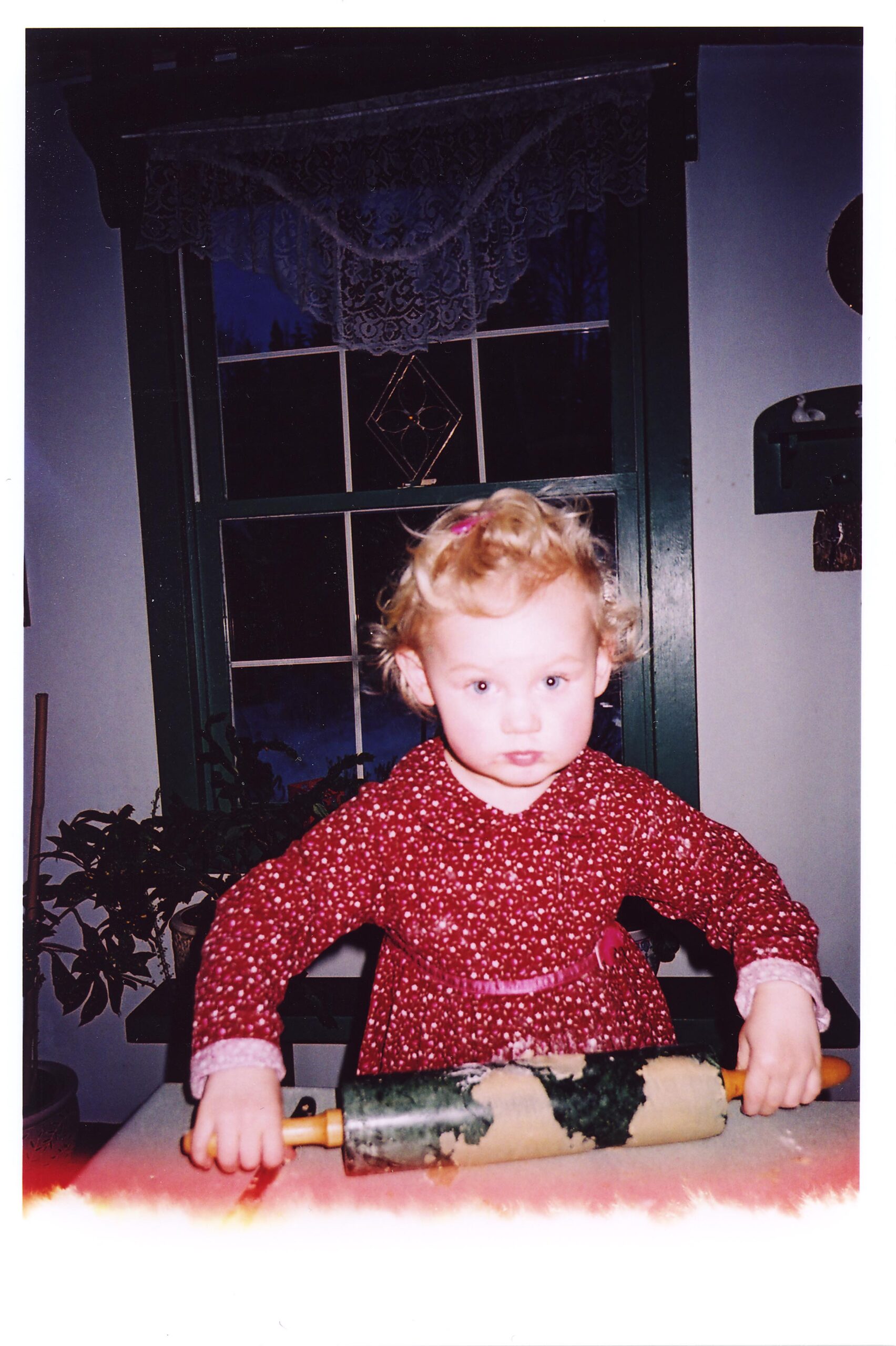 Main Gallery Display