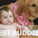 Thumbnail Preview