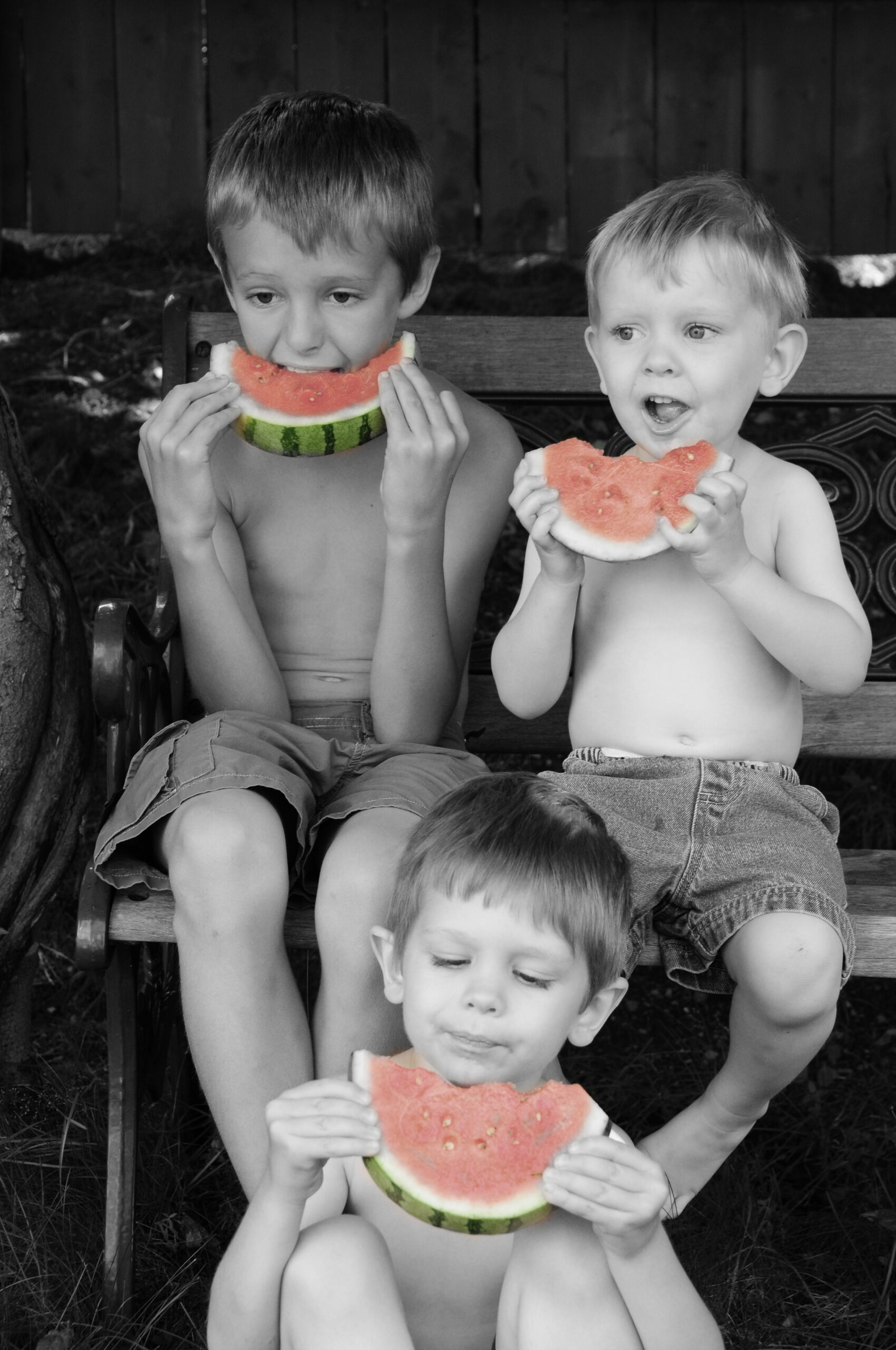 Main Gallery Display