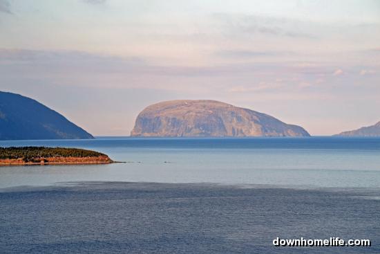 Main Gallery Display
