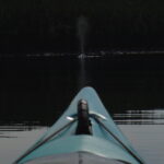 Thumbnail Preview