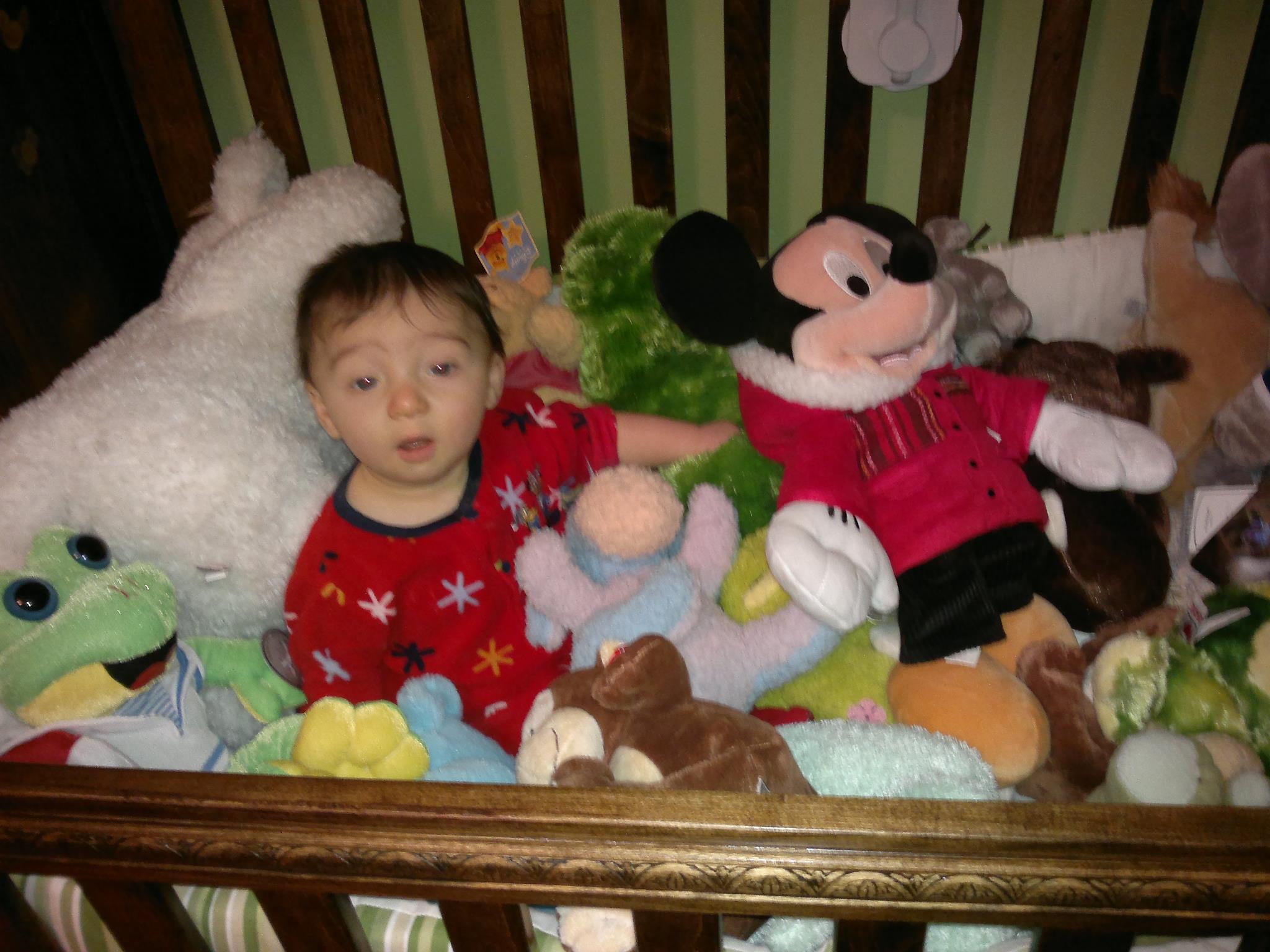 Main Gallery Display