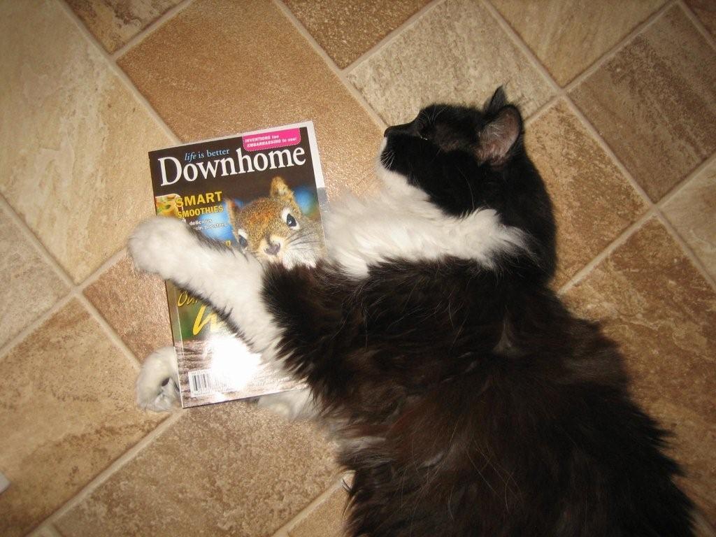 Main Gallery Display