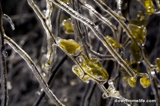 Main Gallery Display