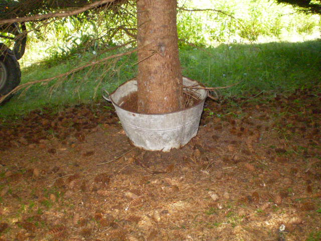 Main Gallery Display