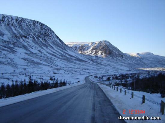 Main Gallery Display
