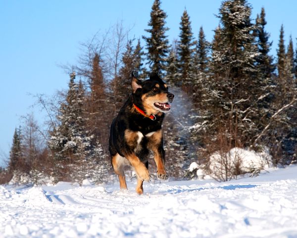 Main Gallery Display