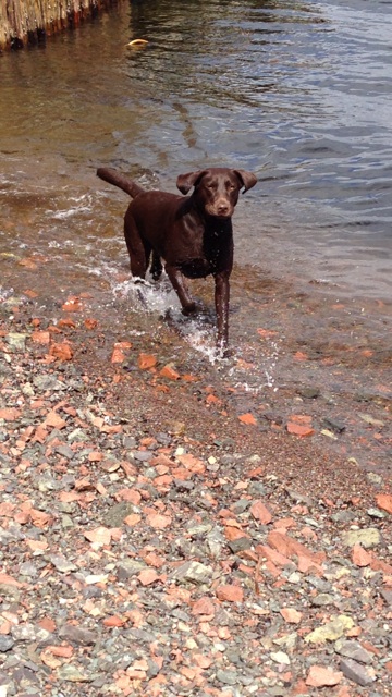 Main Gallery Display