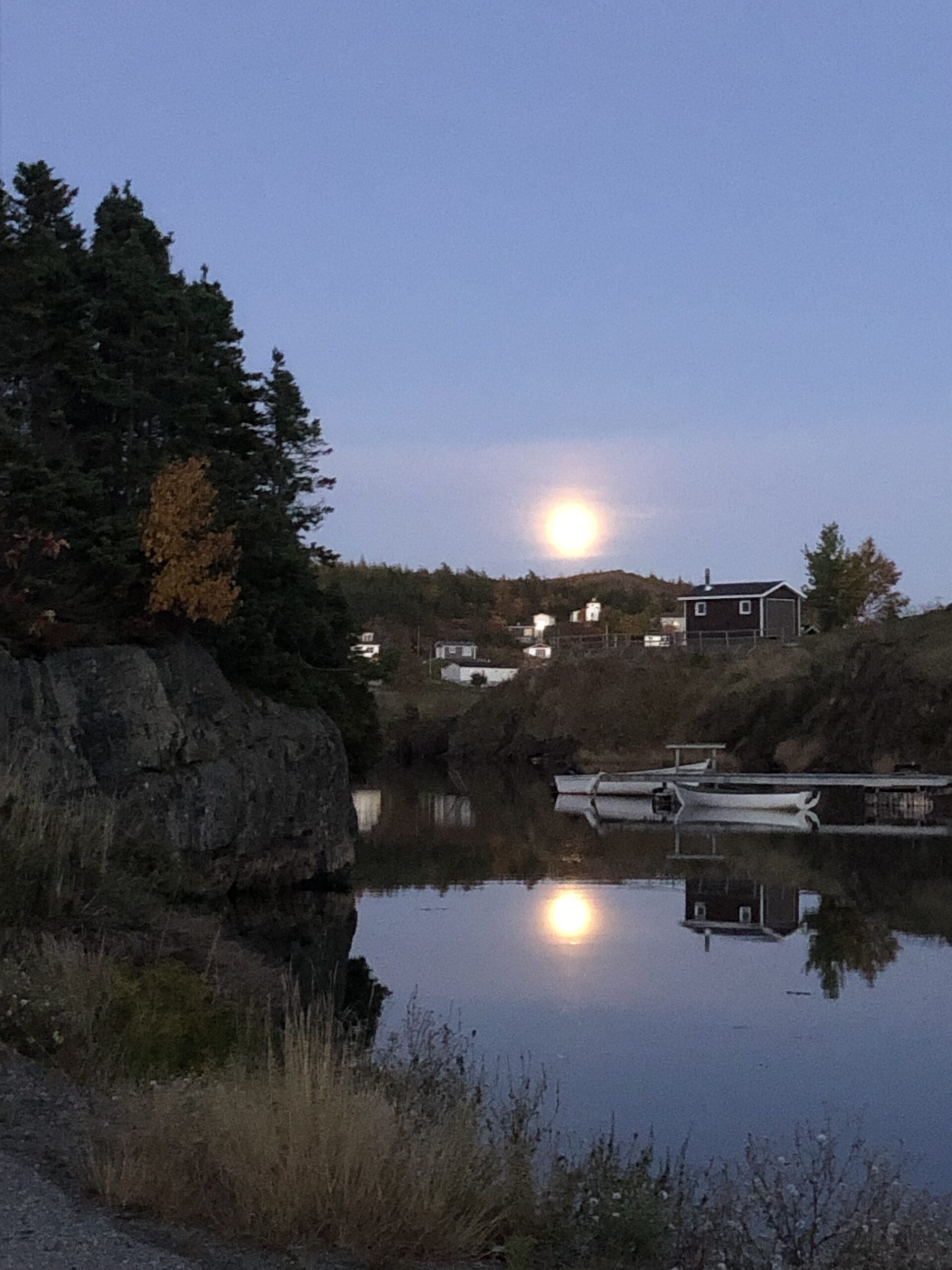 Main Gallery Display
