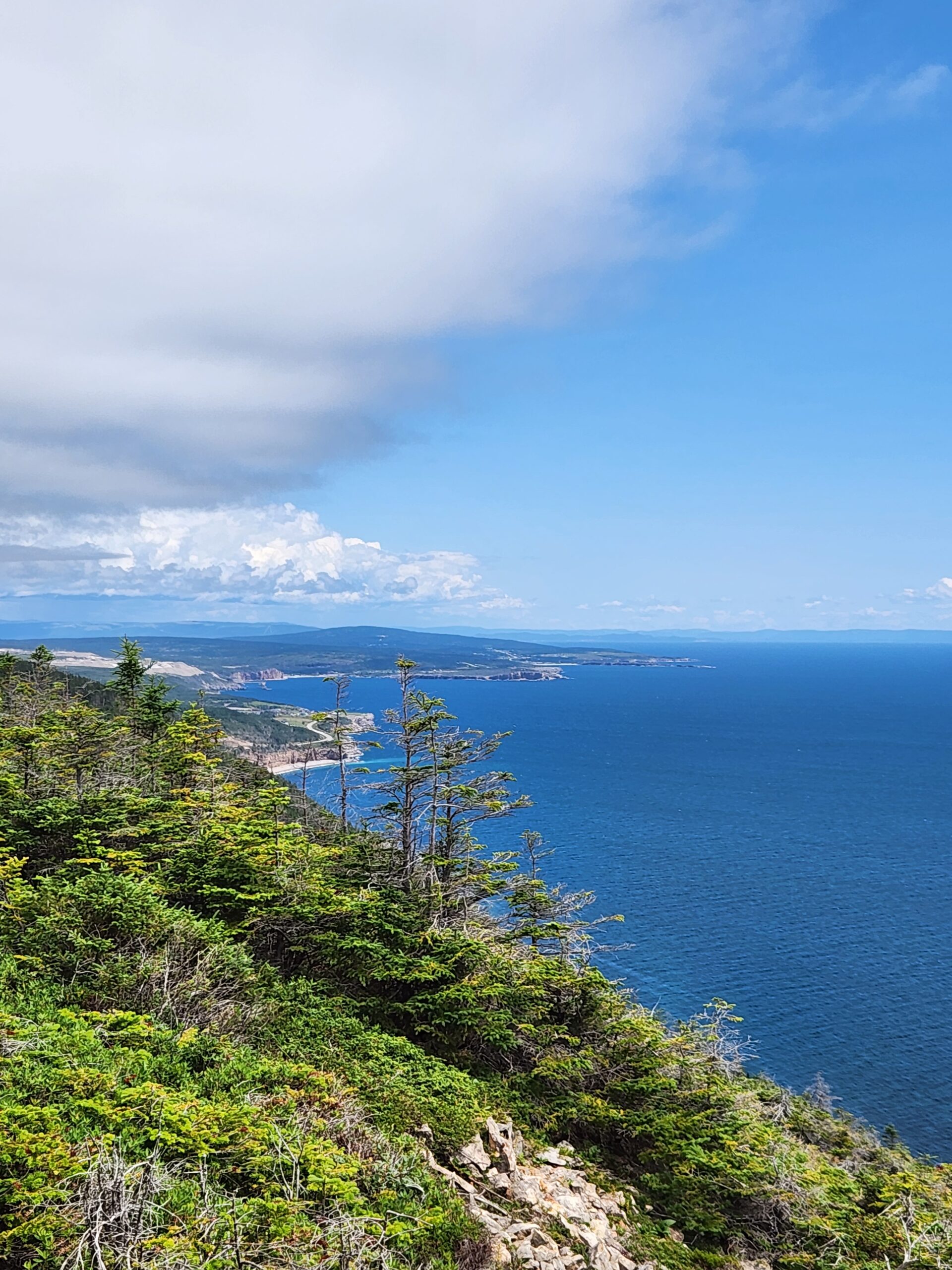 Marches point nl Downhome Magazine