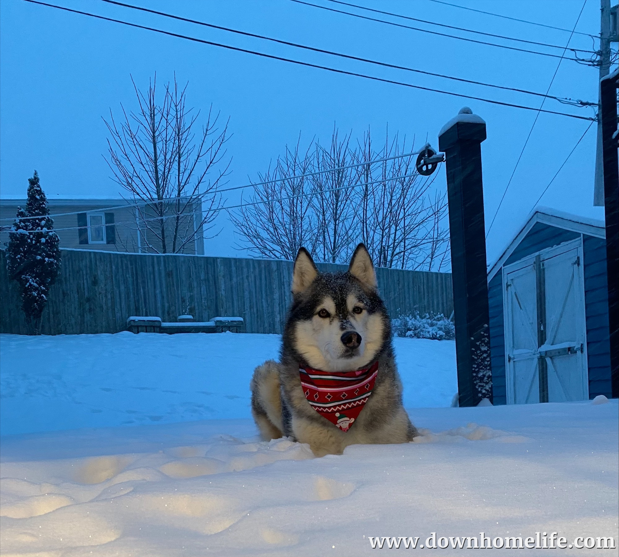 Main Gallery Display