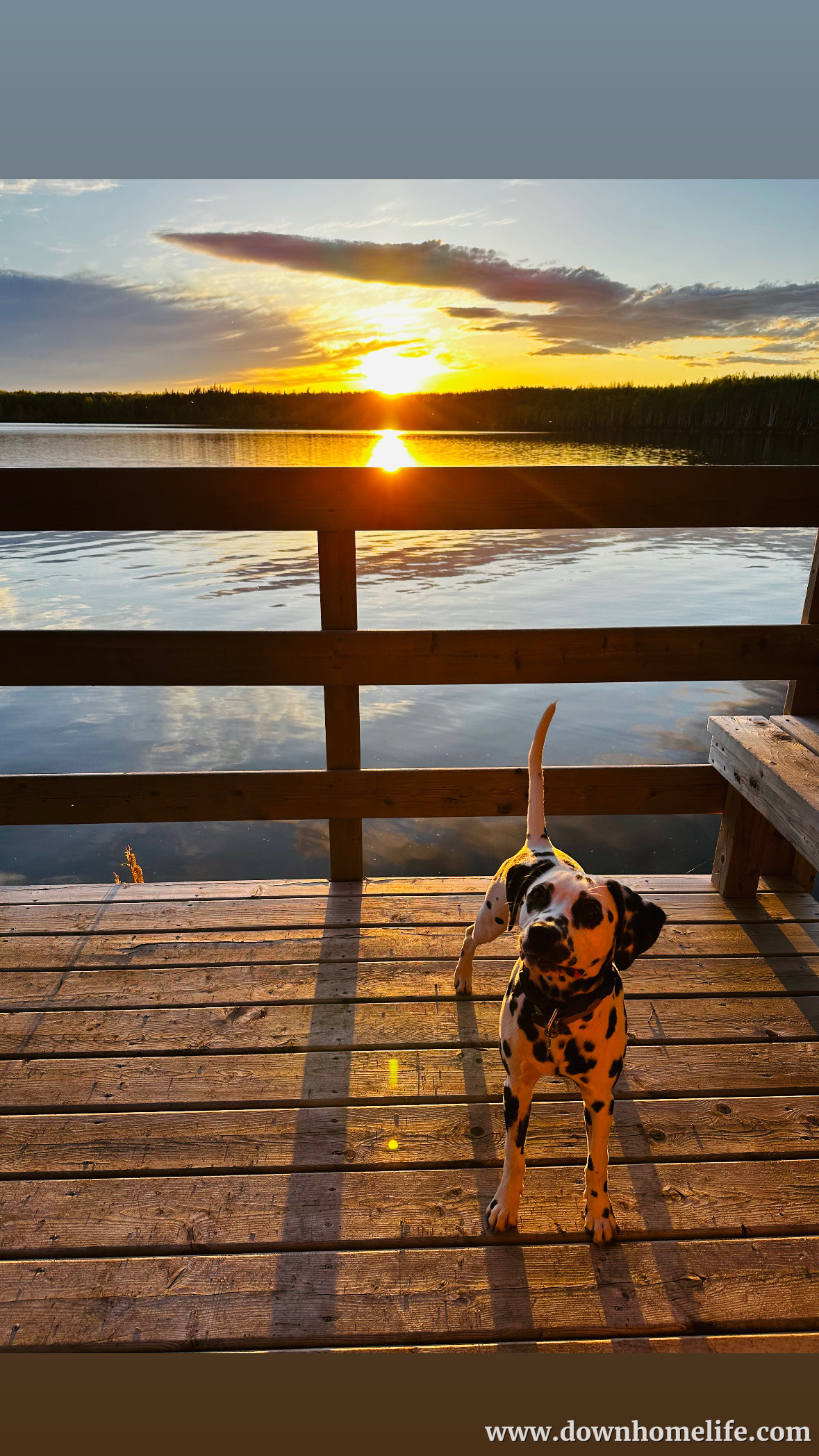 Main Gallery Display