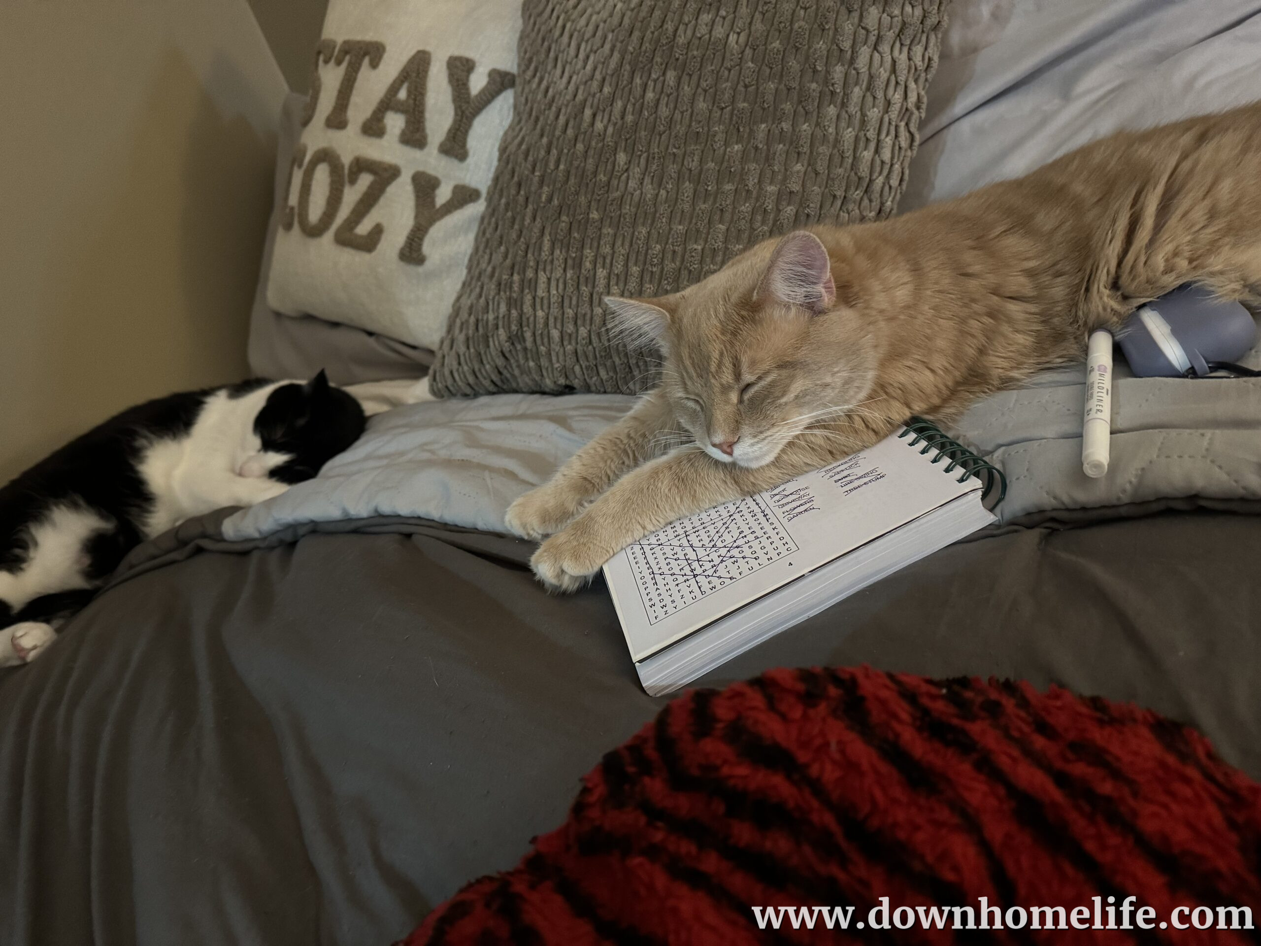 Main Gallery Display