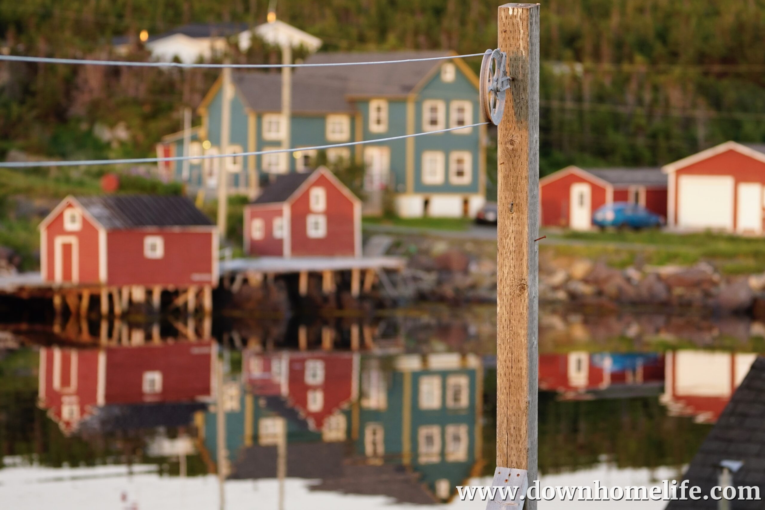 Main Gallery Display