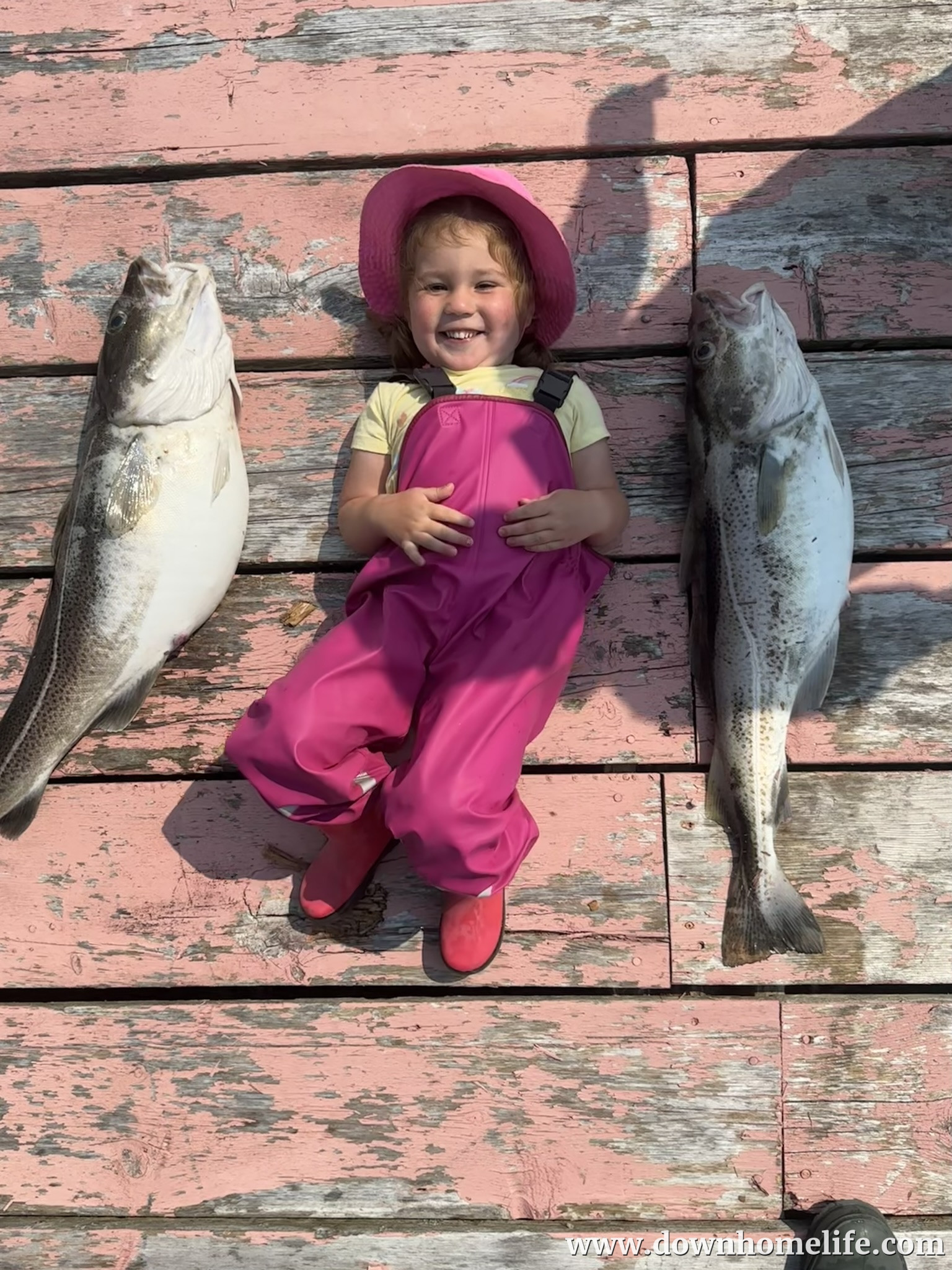 Main Gallery Display