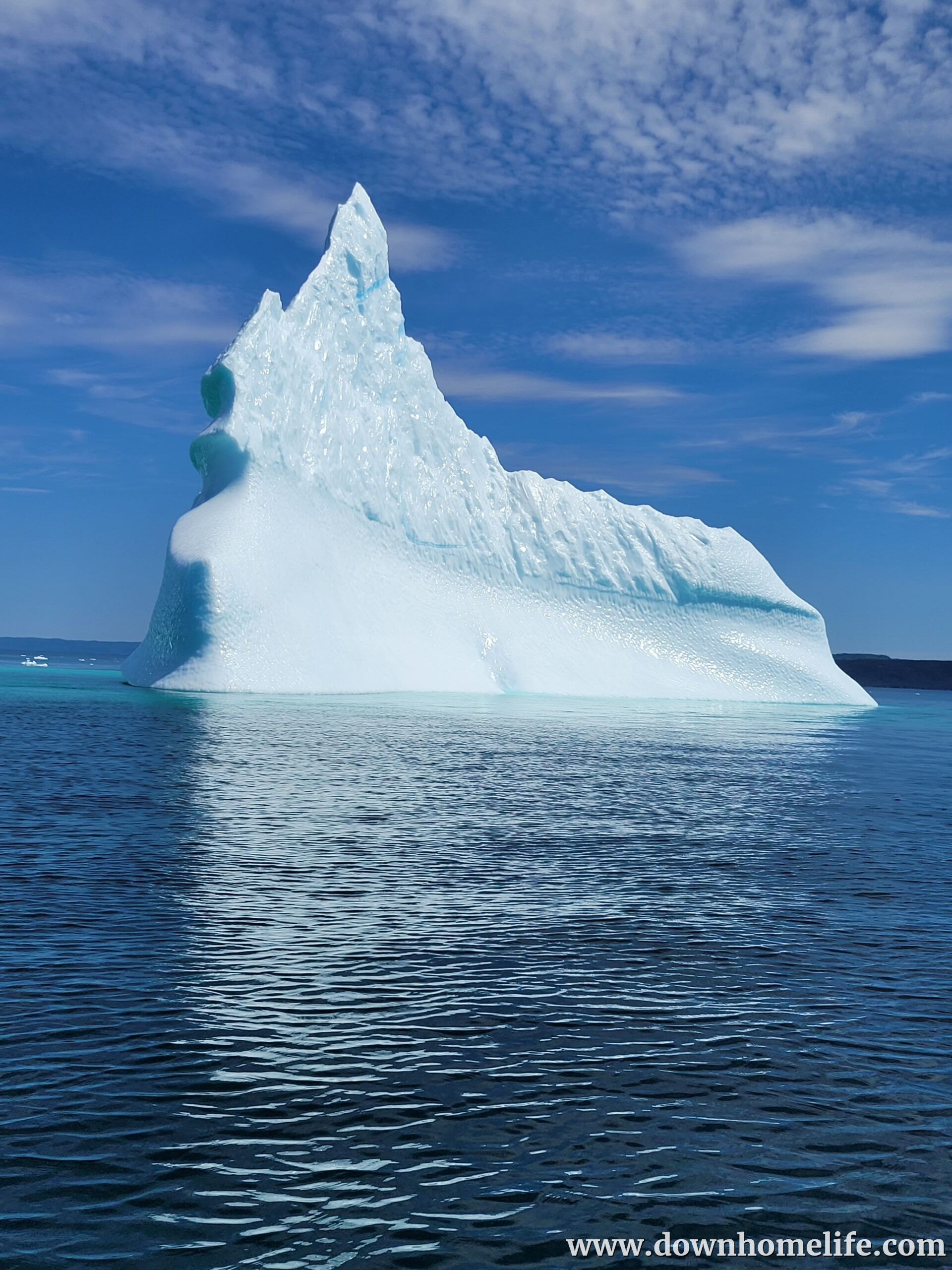 Main Gallery Display