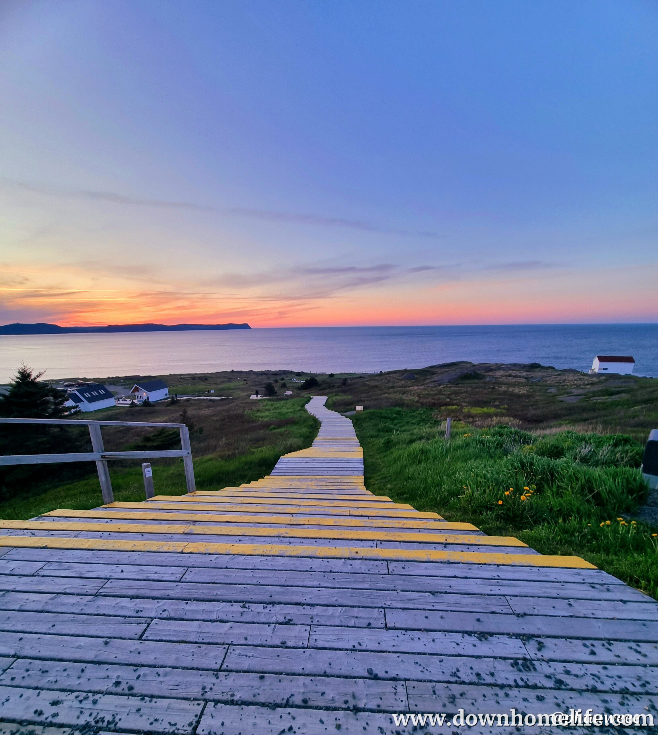 Main Gallery Display