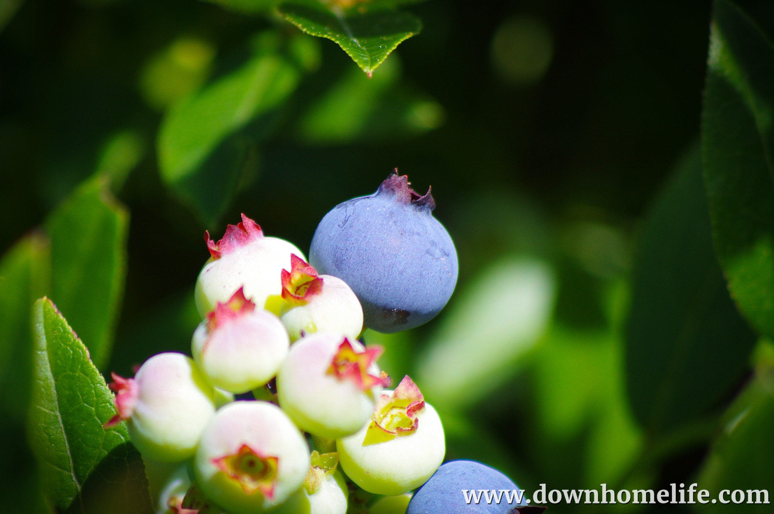 Main Gallery Display