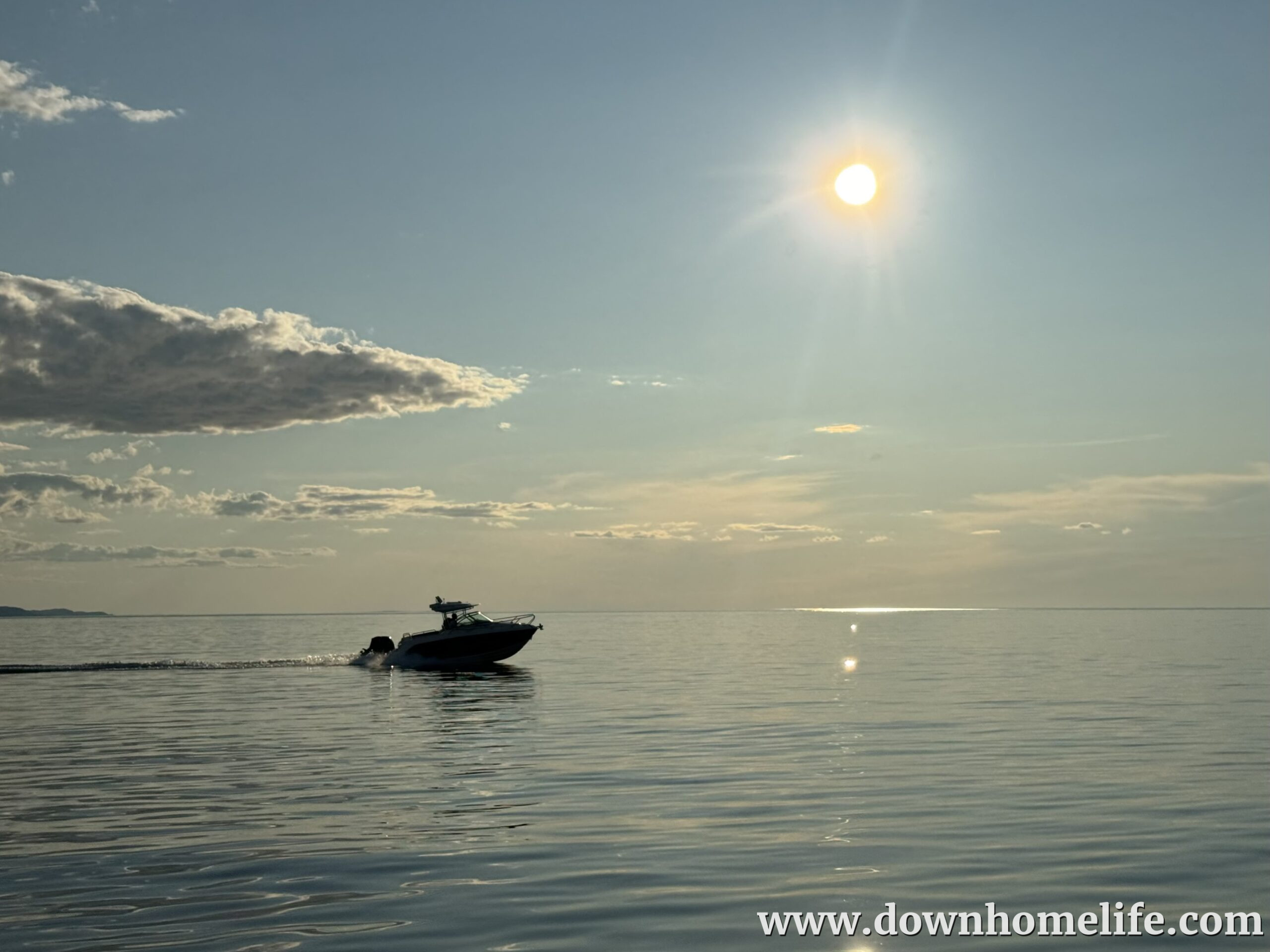 Main Gallery Display
