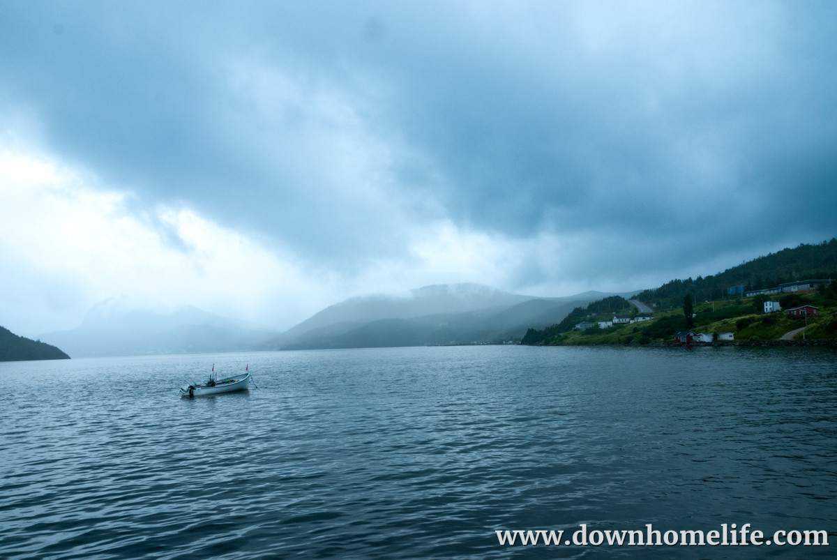 Main Gallery Display