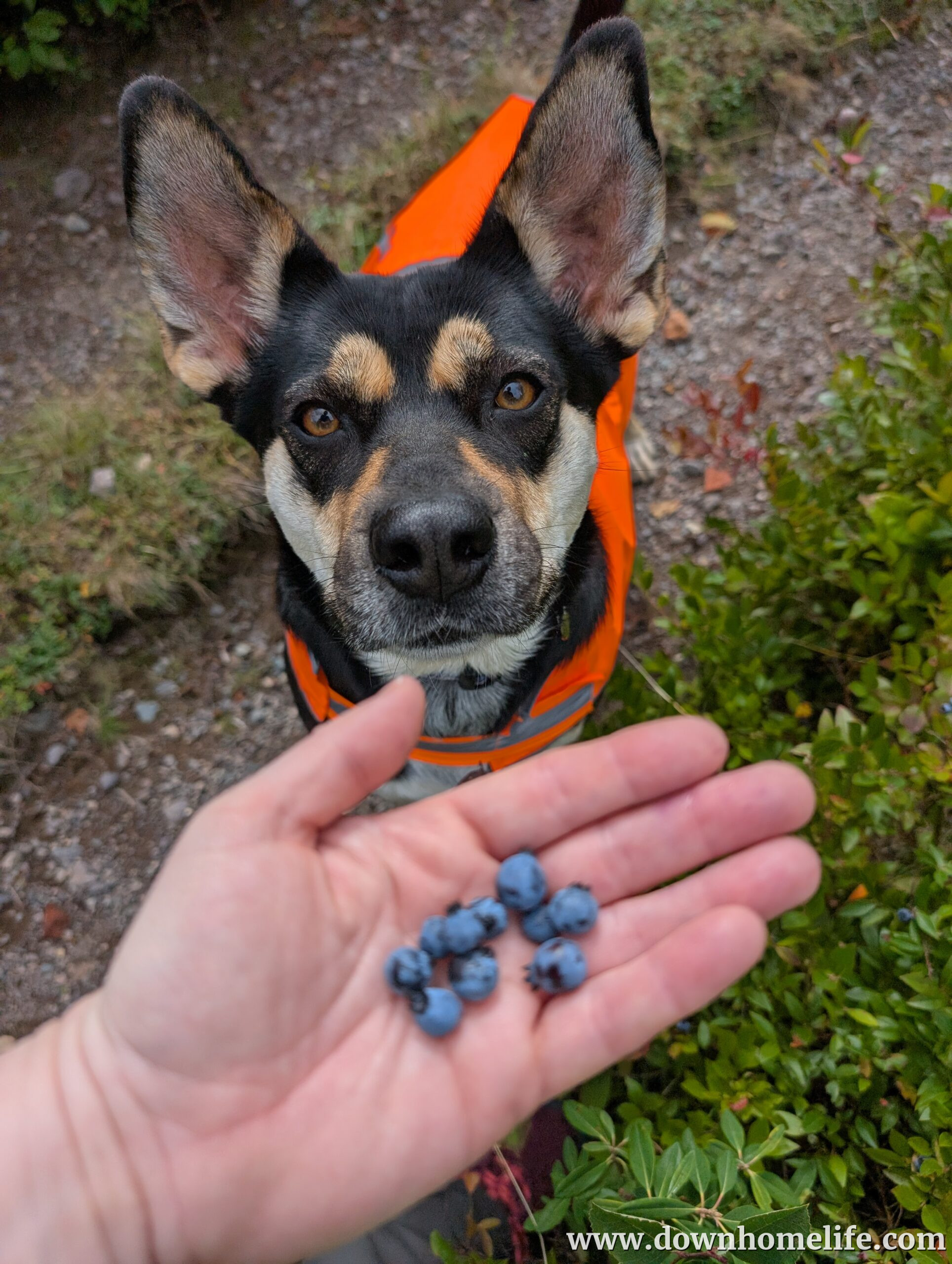 Main Gallery Display