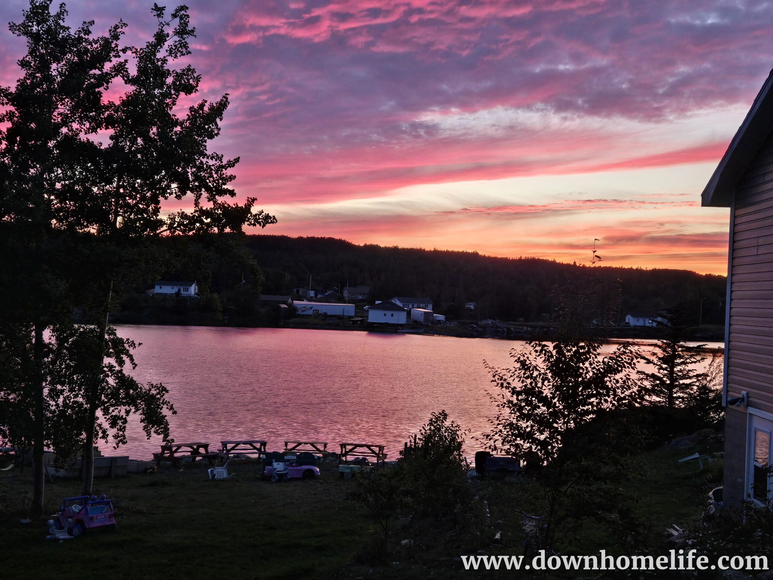 Main Gallery Display