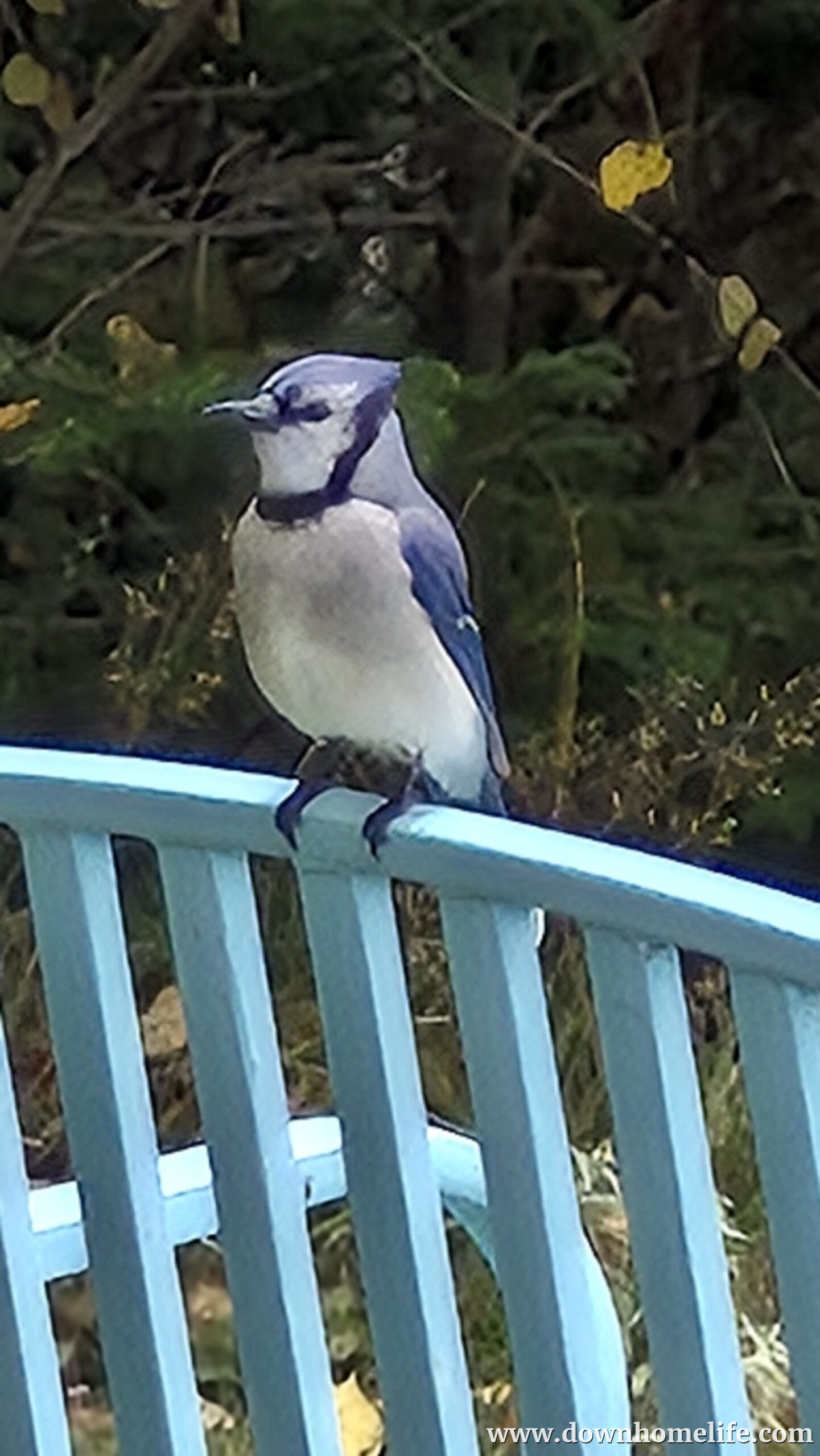 Main Gallery Display